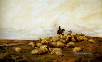  tiere - Ein Schäfer mit seiner Herde Schaf Bauernhof Tiere Thomas Sidney Cooper